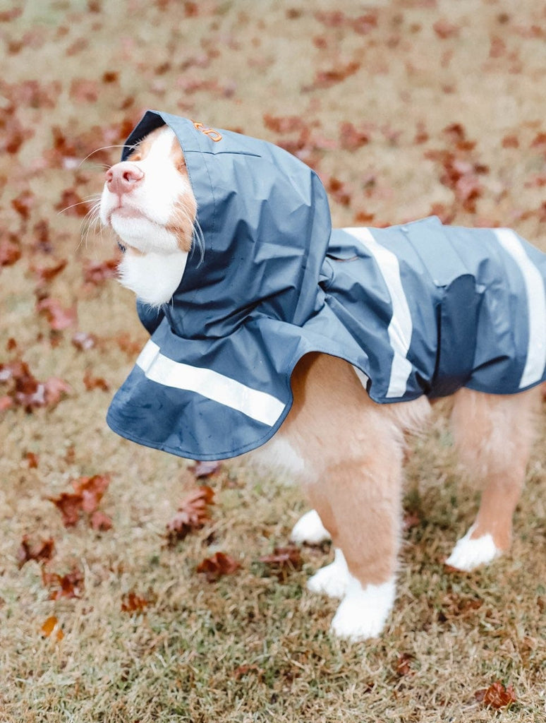 vendor-unknown Rain Jackets Navy / XSmall Monogrammed Doggie Rain Jacket